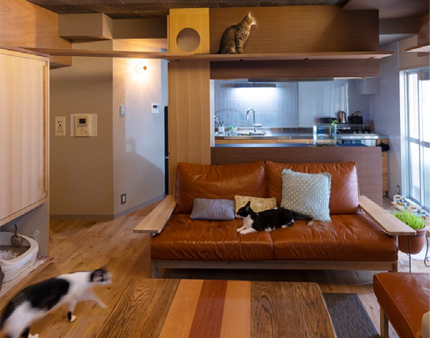 Ｋ邸
愛猫たちと暮らす
リフォームマンション